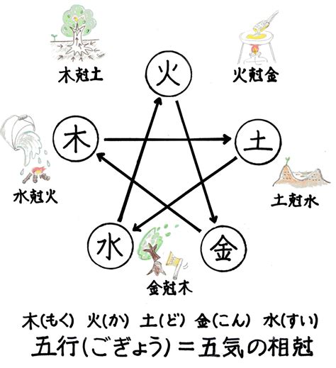 陰陽木|樹木の陰陽について知りたい。陰の木はイチジク、陽の木はマツ。